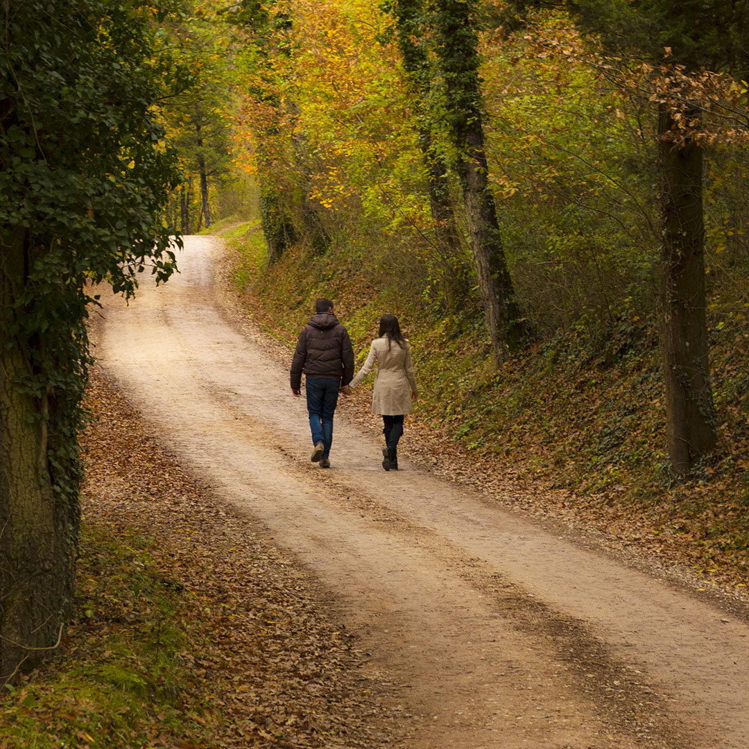 Camminare_in_autunno_a_petroia