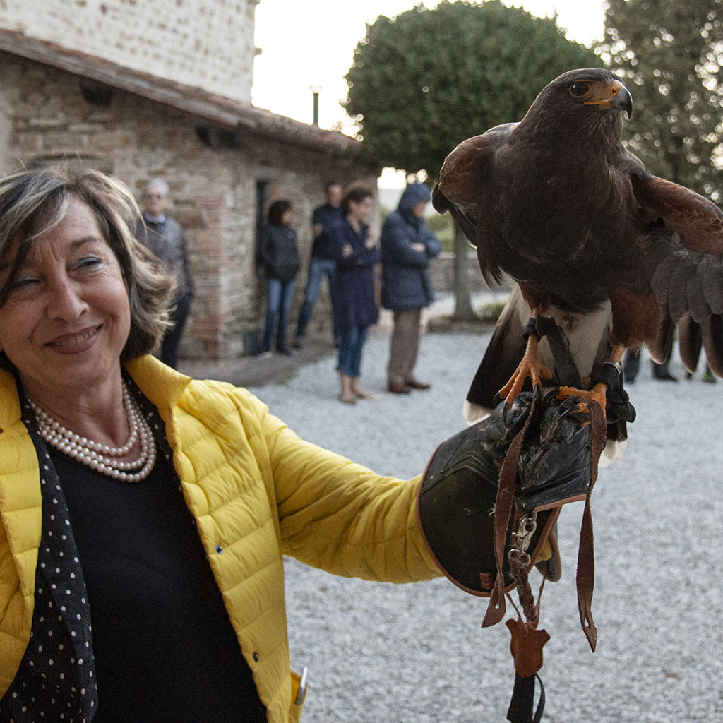 Un falco al Castello di Petroia
