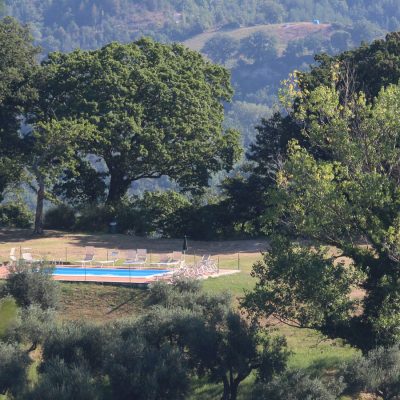 La piscina all'ombra di secolari alberi