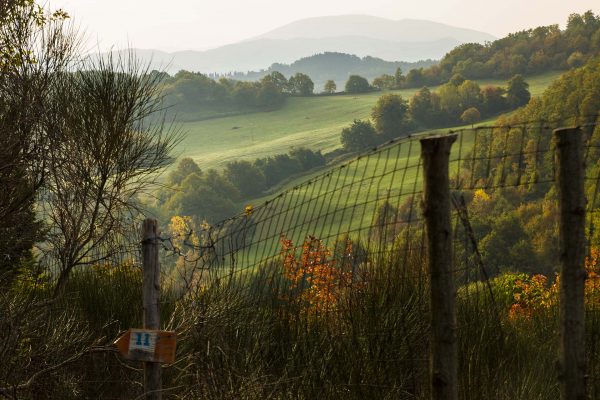 I percorsi pedonali nelle valli di Petroia