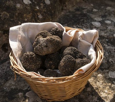 Tartufo nero del Castello di Petroia