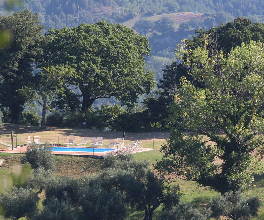 La piscina all'ombra di secolari alberi