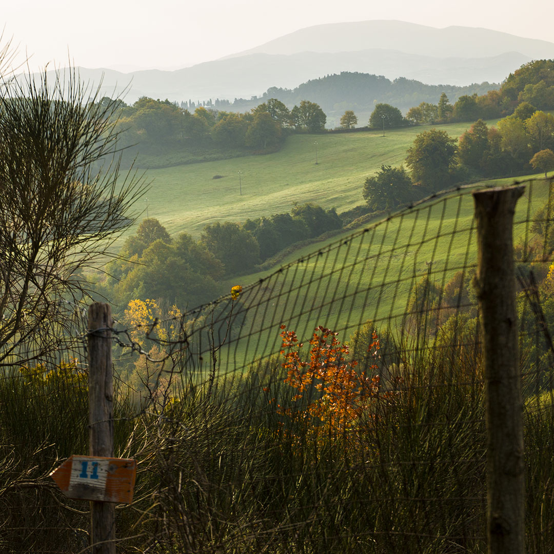 le_valli_di_petroia_in_autunno