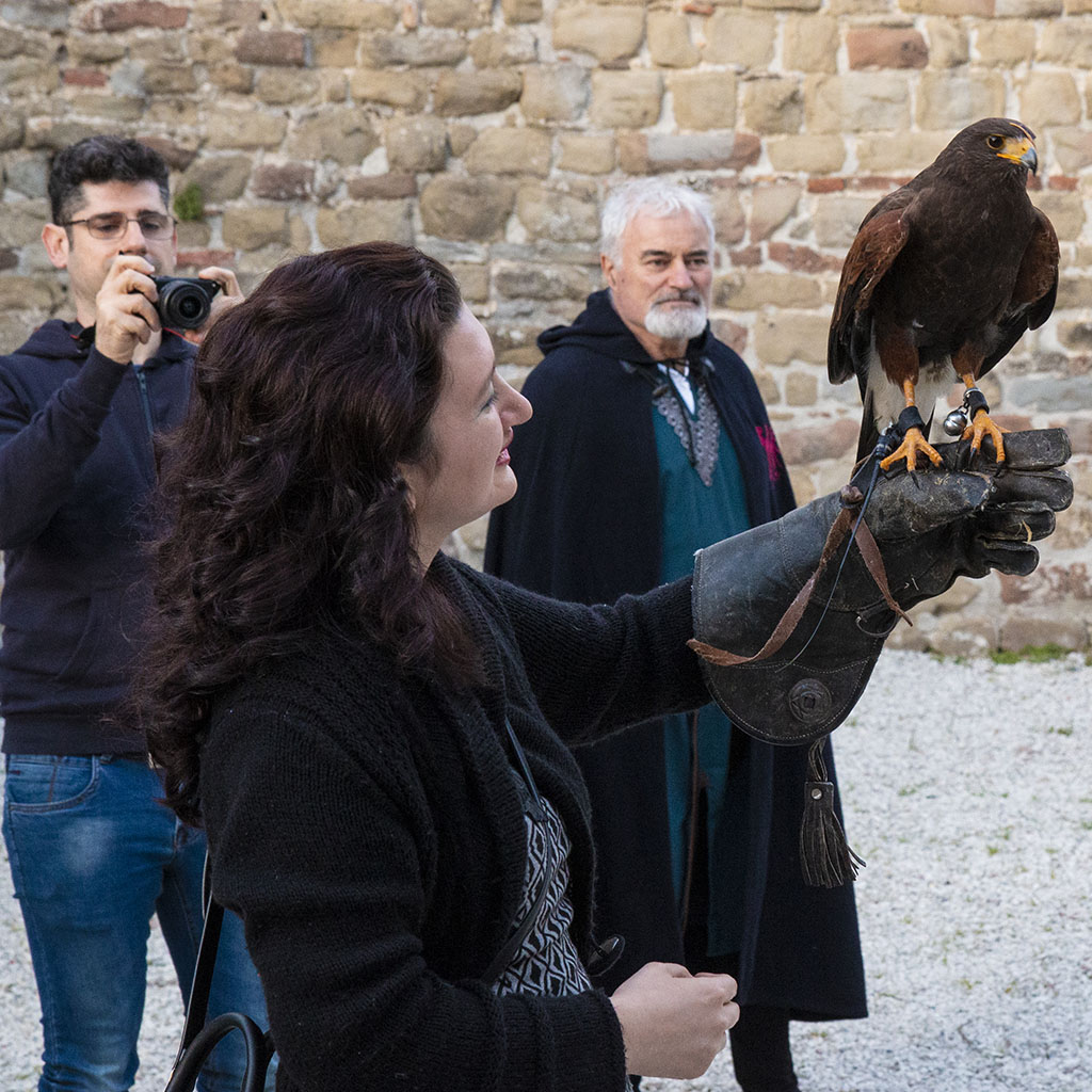 Falconeria a Gubbio