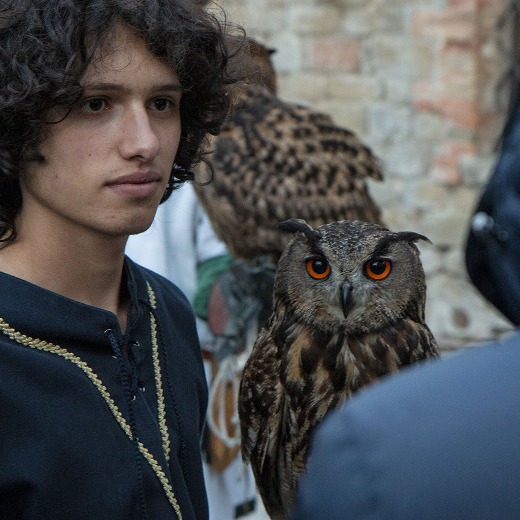 Falconeria al Castello di Petroia