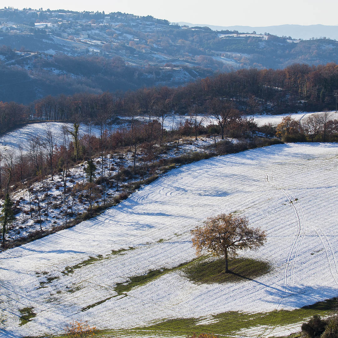 Petroia_in_inverno