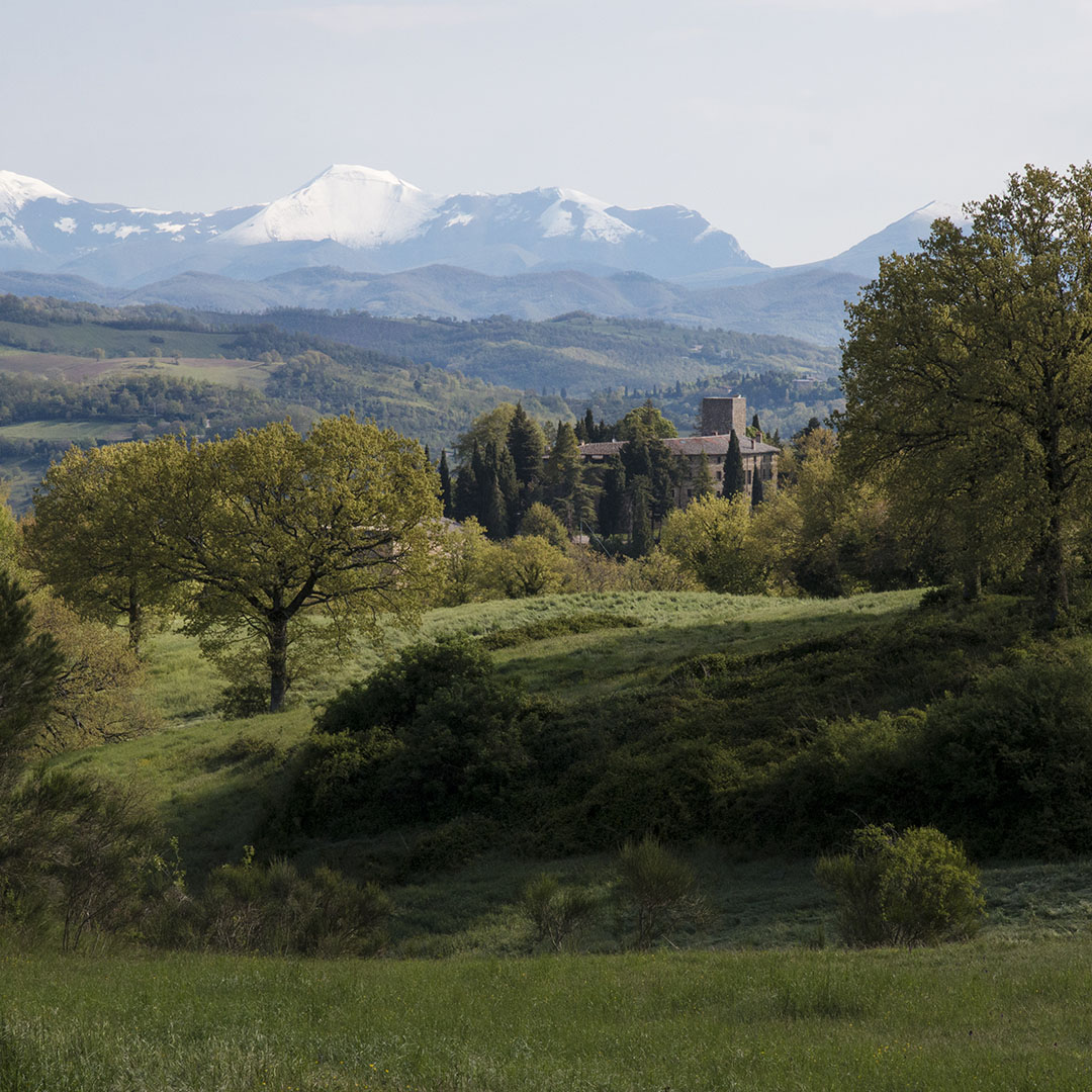 le_valli_del_castello_in_primavera