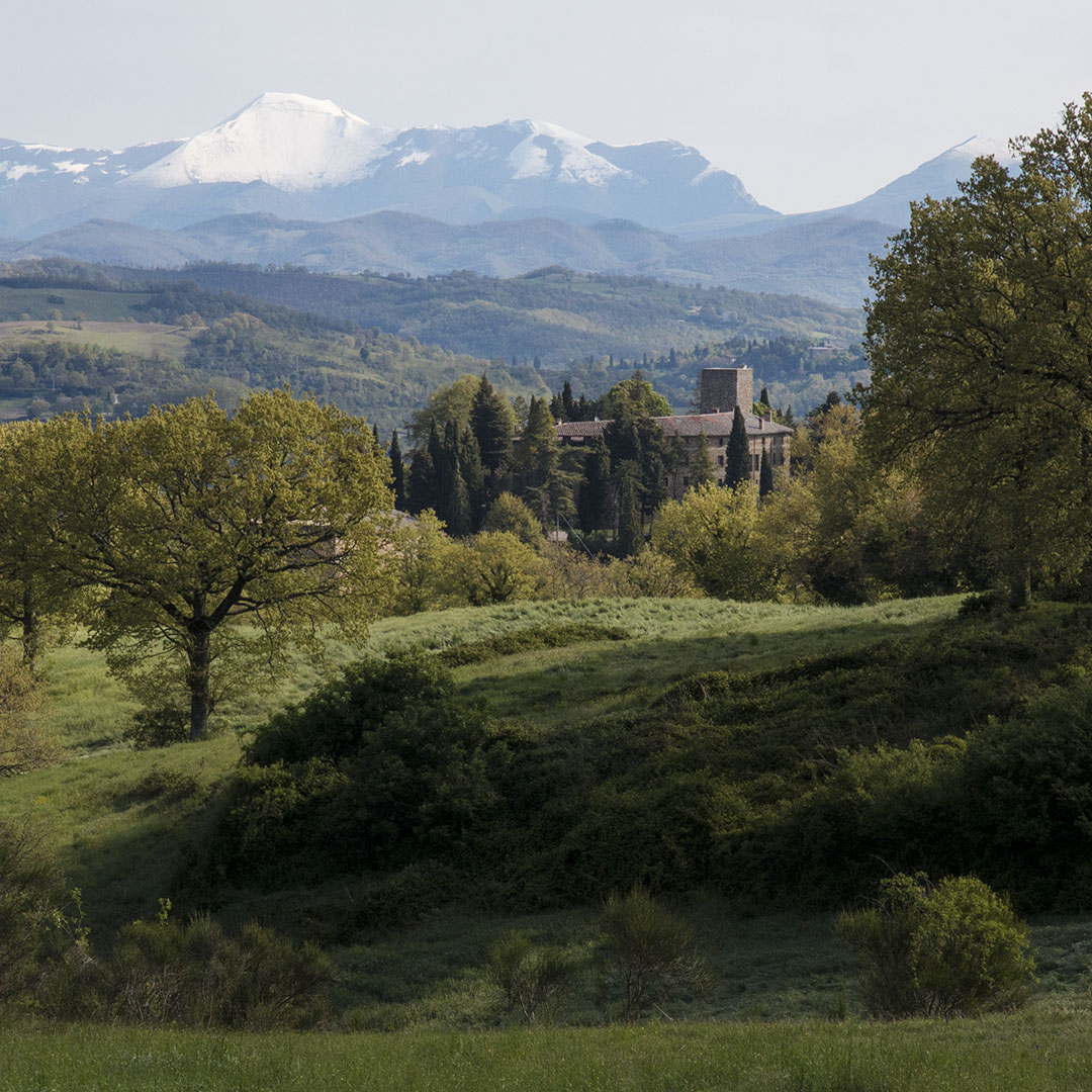 primavera_al_castello