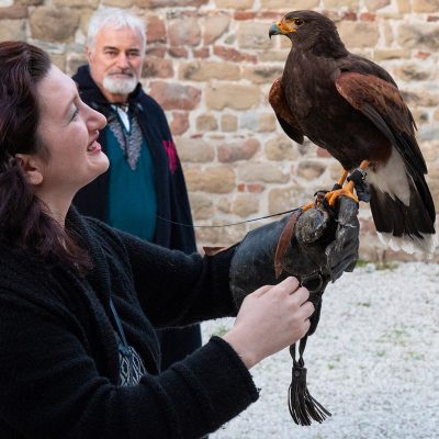 Lezione_di_falconeria_Gubbio